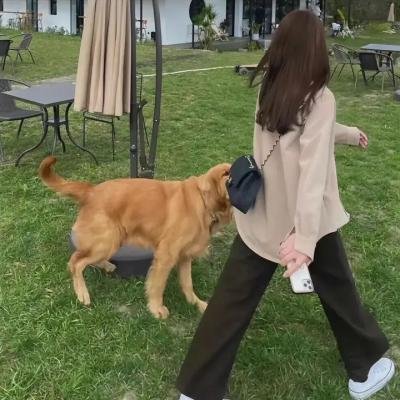 玛格丽特定理